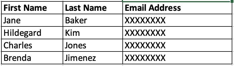 The obfuscate last name and redact email address example