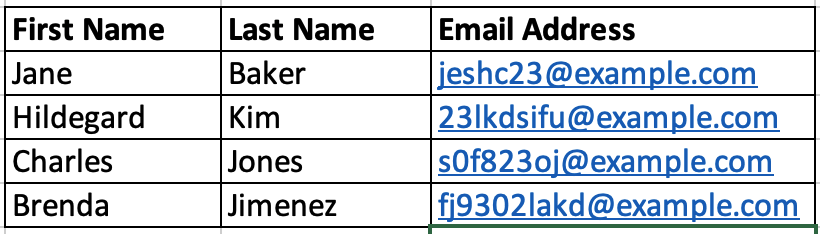 The obfuscate columns named last name and email address example